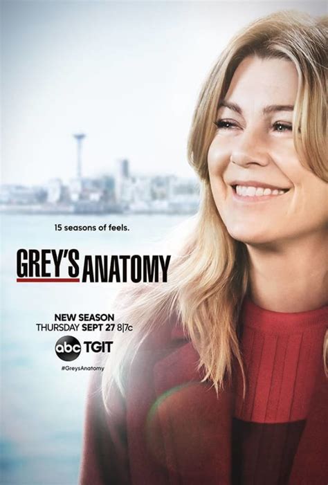 grey's anatomy season 15 fullrip|Amazon.co.uk: greys anatomy season 15.